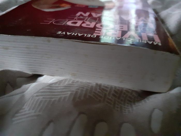 Livre - photo numéro 4