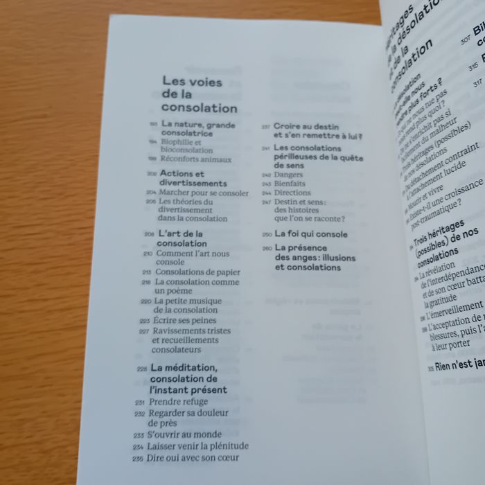 Consolations - photo numéro 9