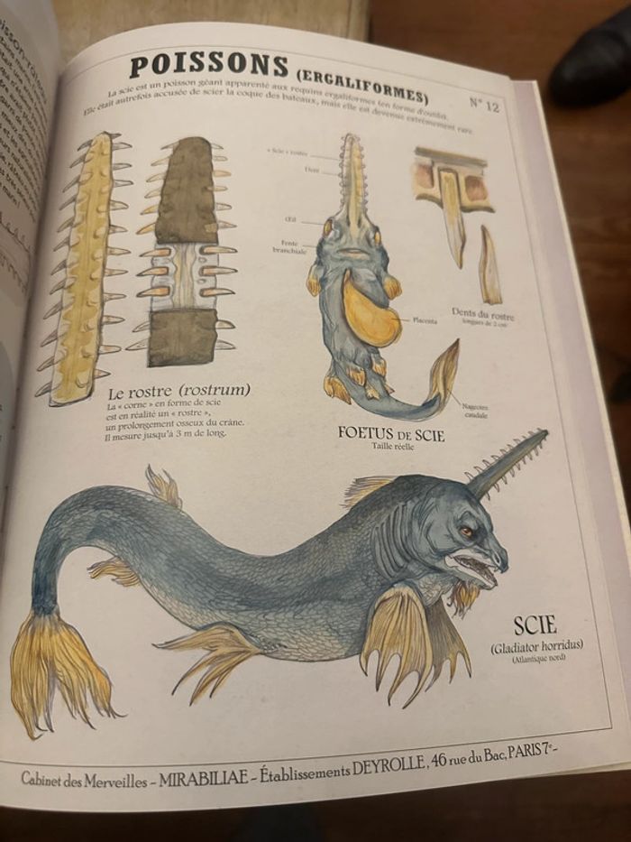 Deyrolle Les Histoires vraies des Créatures Fantastiques Plume de Carotte - photo numéro 7