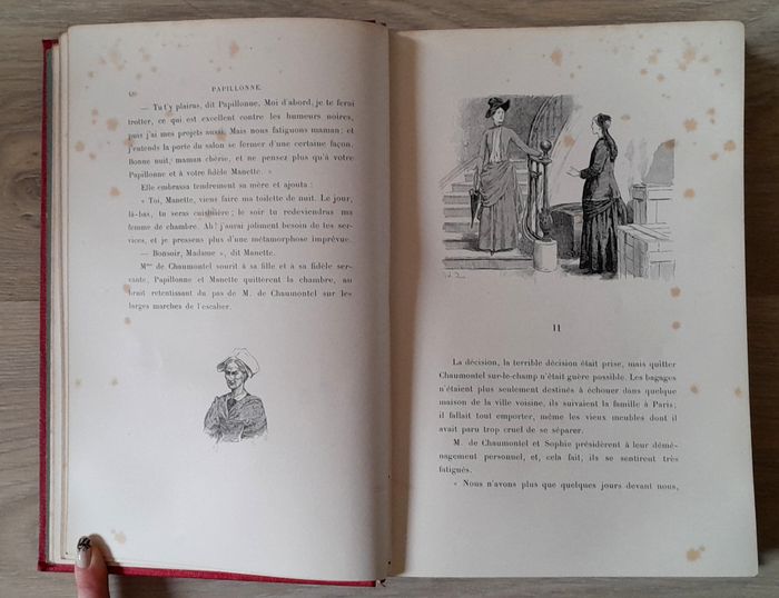 Mlle Zénaide Fleuriot - Papillonne souvenirs de jeunesse d'un vieux campagnard Nouvelles - photo numéro 10