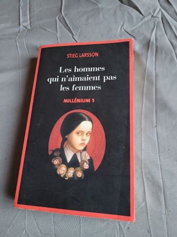 Les hommes qui n aimaient pas les femmes