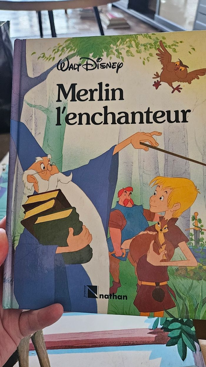 Gros lot livres Disney vintage - photo numéro 2