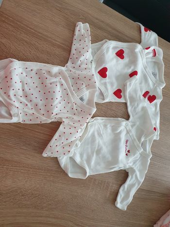 Bodies 