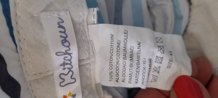 bob baleine - photo numéro 3