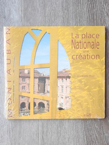 Montauban, le place Nationale