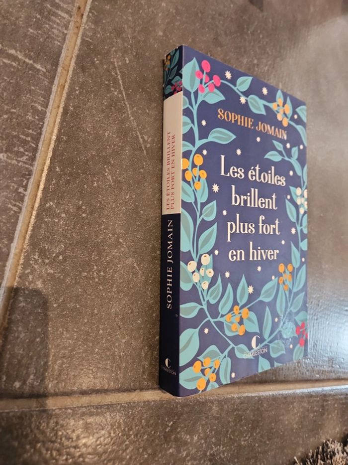 Livre : Les étoiles brillent plus fort en hiver - photo numéro 2