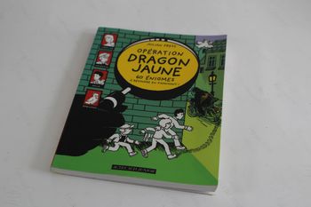 Actes sud Junior Opération Dragon Jaune 60 énigmes