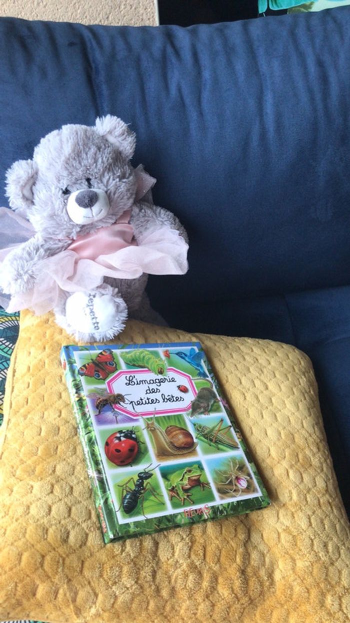 Livre l imagerie des petites bêtes