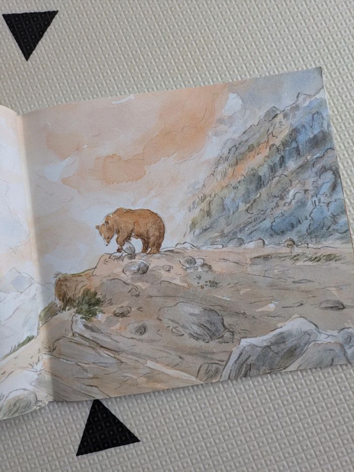 Lot de 3 livres sur les ours - photo numéro 3