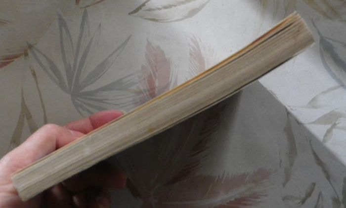 La terreur venue du néant T III Les Chevaliers de Lumière de Jimmy Guieu Ed Fleuve Noir - photo numéro 4