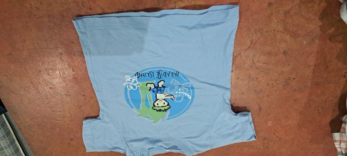 T-shirt garçon 18mois - photo numéro 1