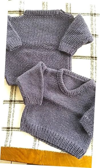 Lot de 2 pull garçon taille 6 mois