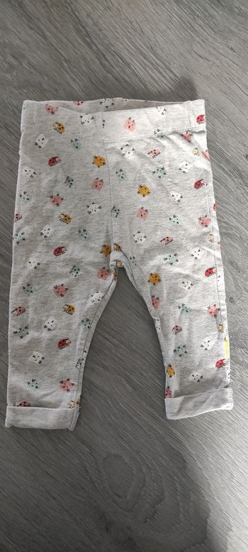Legging chat 62cm