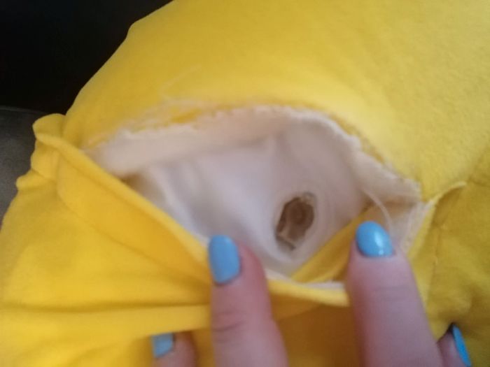 Gros canard - photo numéro 9