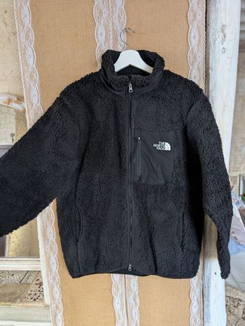 Polaire the north face