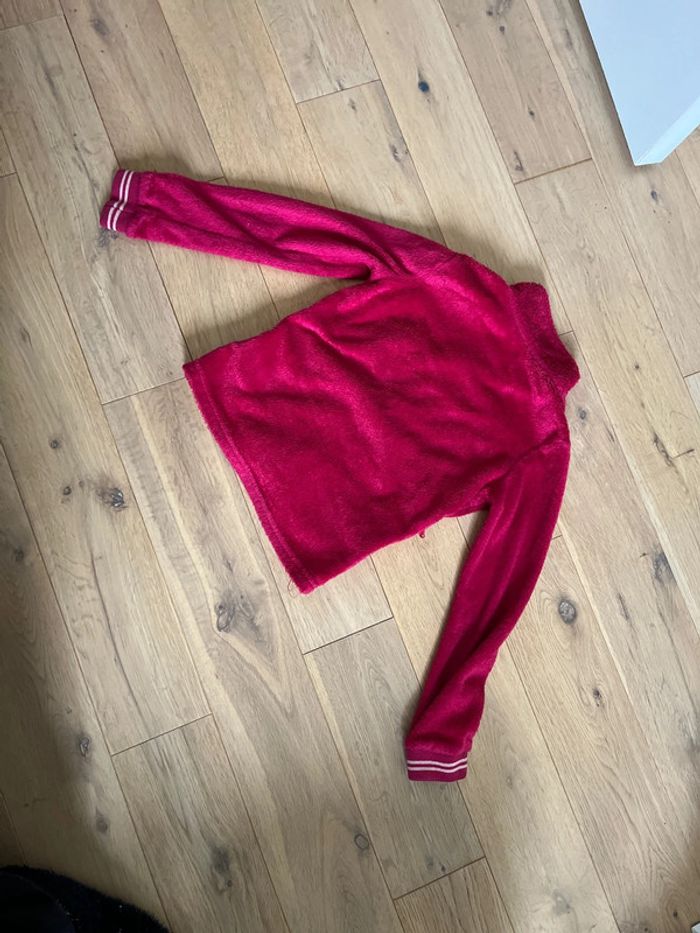 Polaire requisite - photo numéro 2