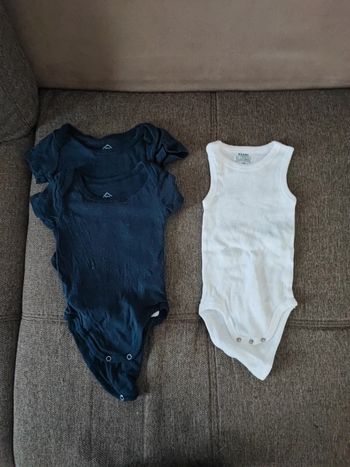 Lot body