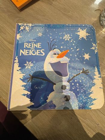 Livre la reine des neiges 