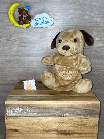 HD40 doudou chien 🐶 histoire d’ours