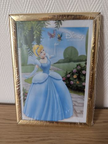 Cadre Disney princesses cendrillon 18x13