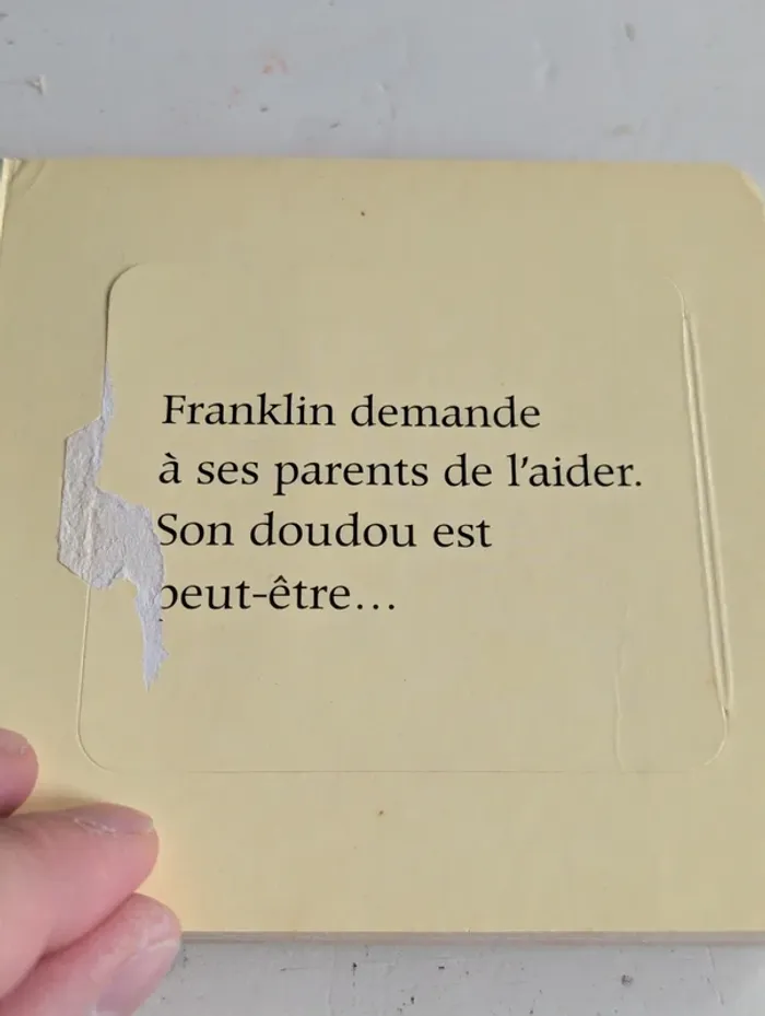 Lot de 2 livres Franklin – Un animal pour Franklin + Le doudou très spécial - photo numéro 15