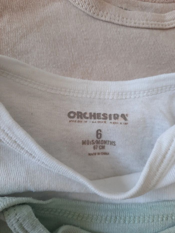 Lot body - photo numéro 4