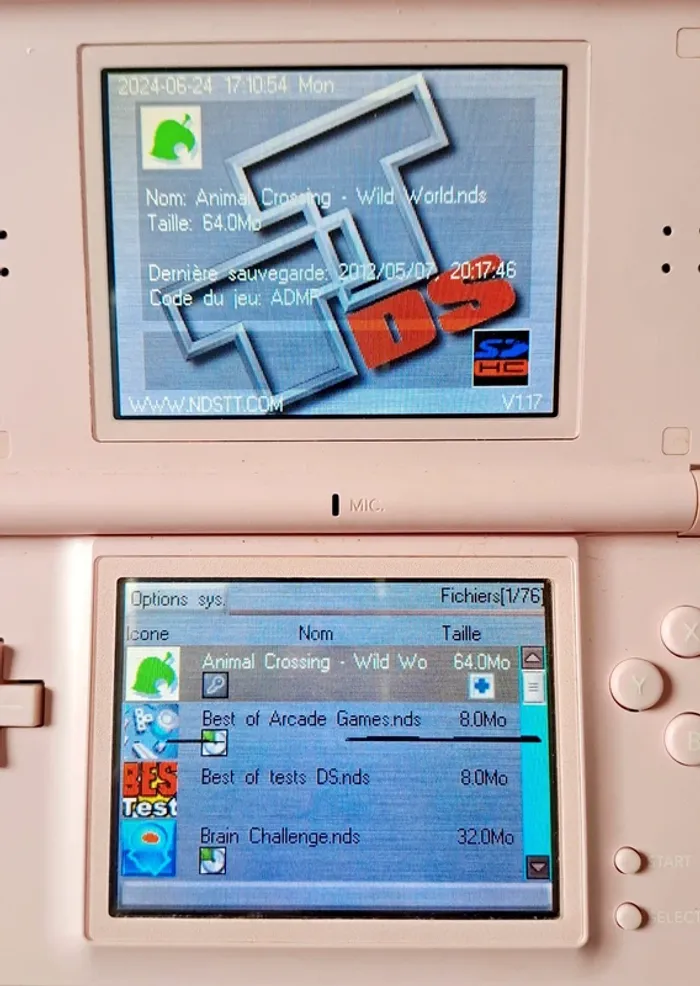 Carte DSTT / Jeu DS / Nintendo DS / Jeu DS / Pokémon / Animal Crossing / Mario Kart / Léa Passion - photo numéro 5