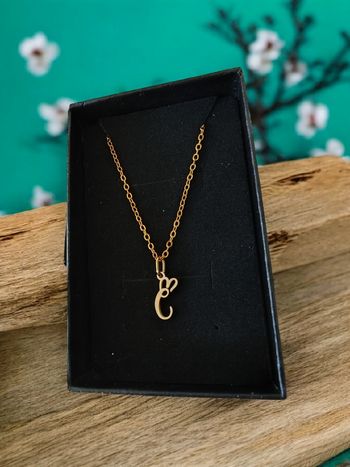 Pendentif acier inoxydable Lettre C prêt à offrir