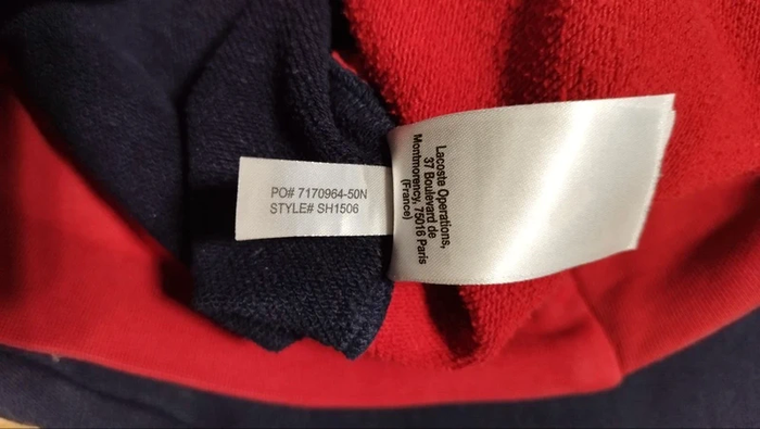 Sweat zippé Lacoste Sport tricolore – Hoodie capuche zip - photo numéro 9