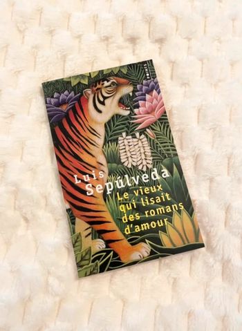 Livre Le vieux qui lisait des romans d’amour