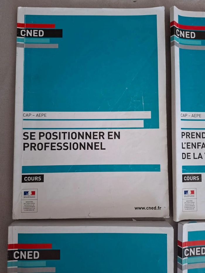 Lot de livres CNED Cap Aepe - photo numéro 7