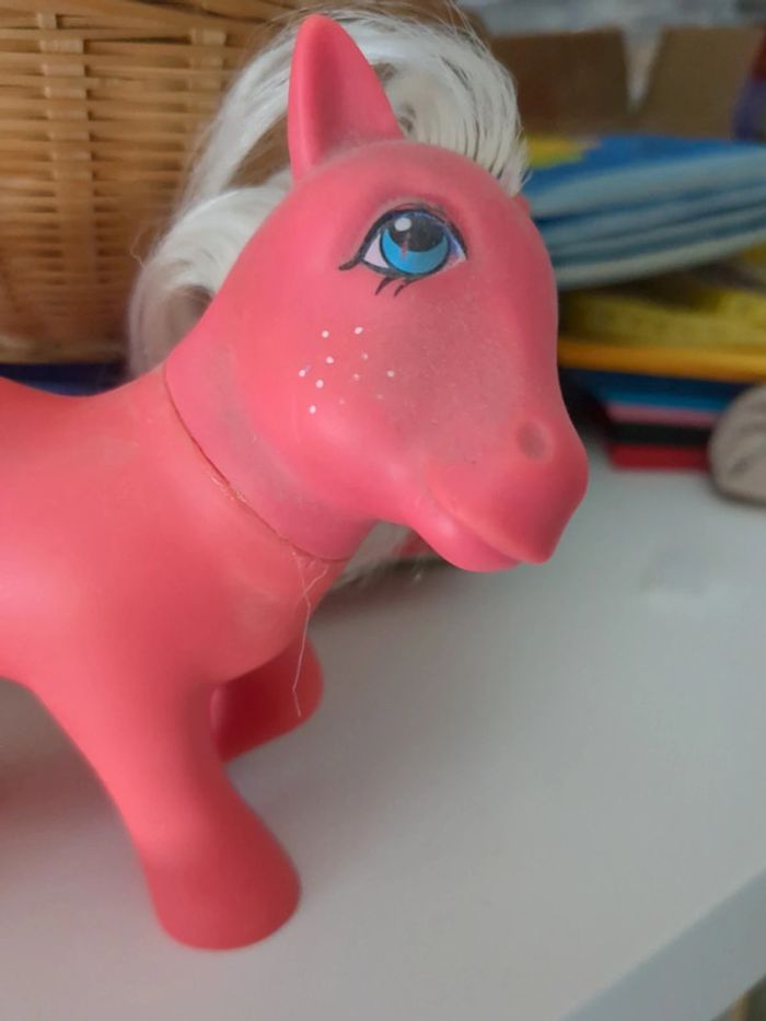 Poney - photo numéro 4