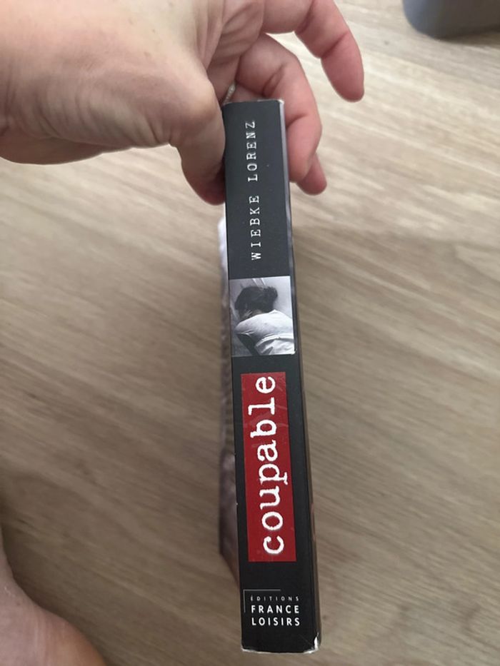 Livre - photo numéro 3