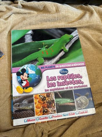 Les reptile les insectes