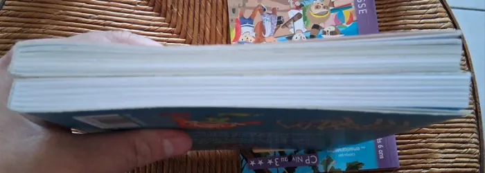 Mortelle adèle tome 1 et 2 - photo numéro 6