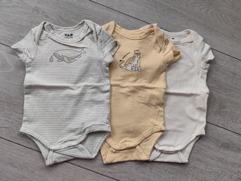 Lot de 3 bodies