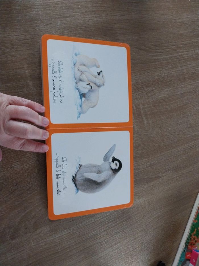 L'imagier des bébés animaux - photo numéro 3