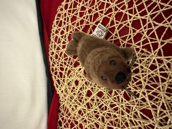 Nature Planet - Peluche - Plan L - Lion de mer - photo numéro 5