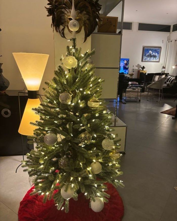 Sapin noël - photo numéro 2