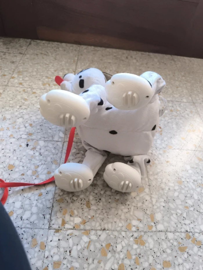 Toufous Dalmatien - photo numéro 4