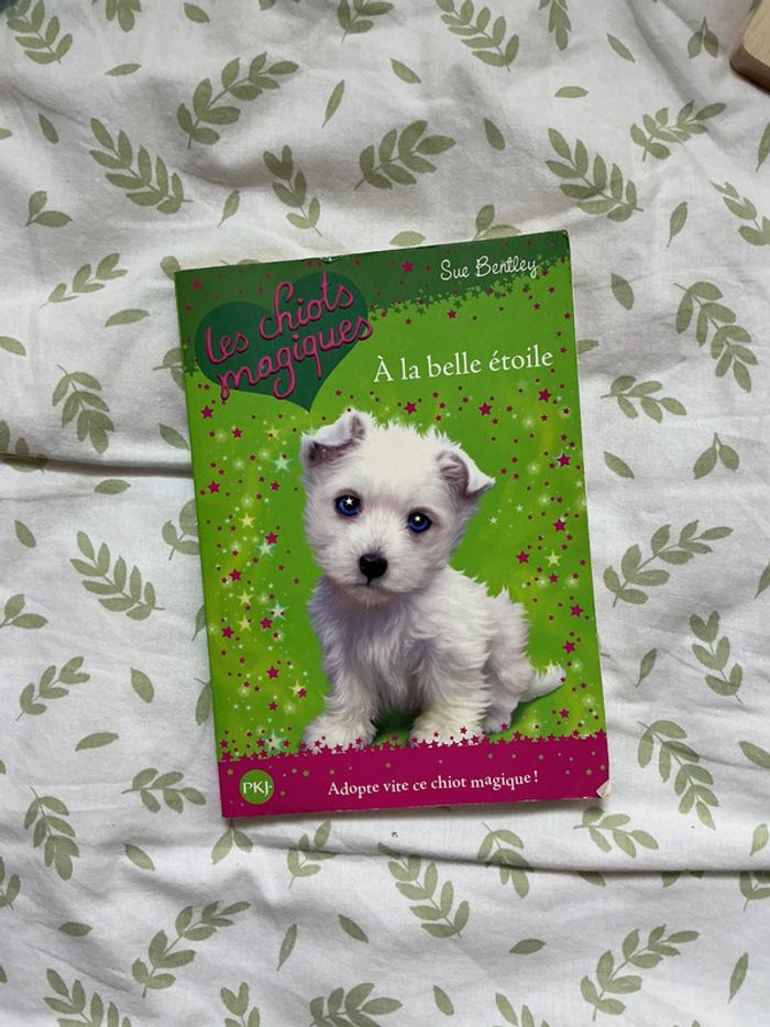 livre les chiots magiques à la belle étoile tome j2111 - photo numéro 2