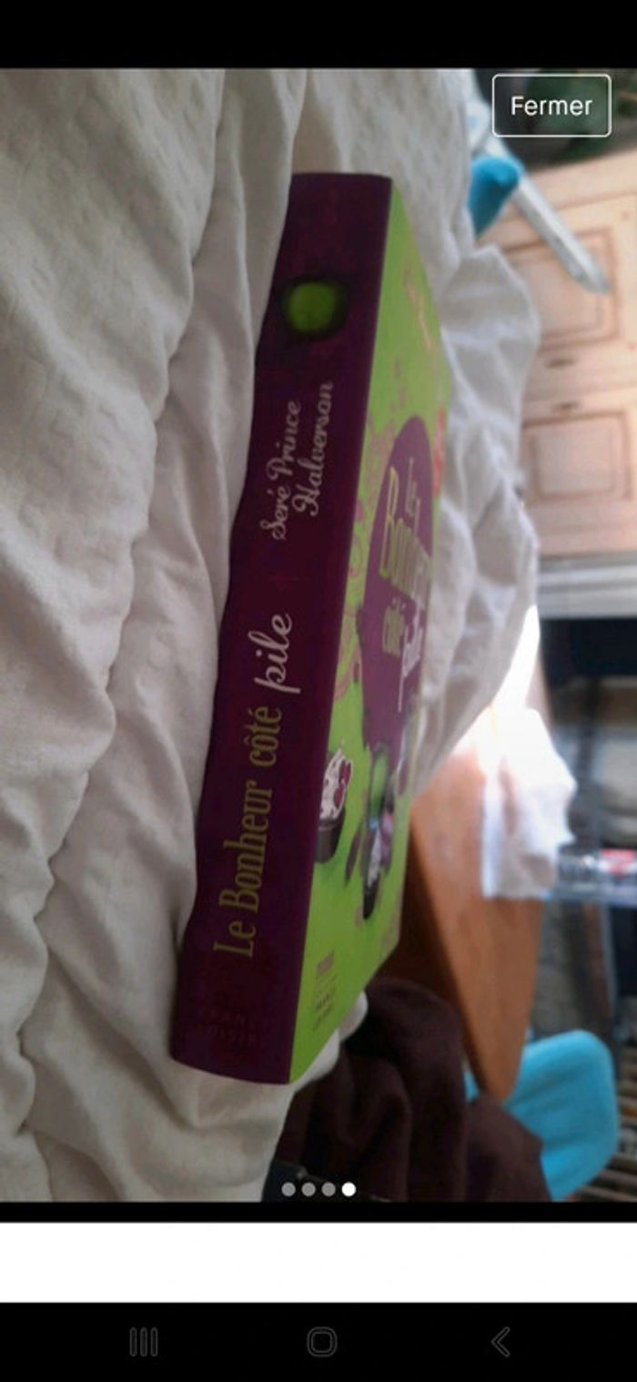 Le bonheur côté pile - photo numéro 4