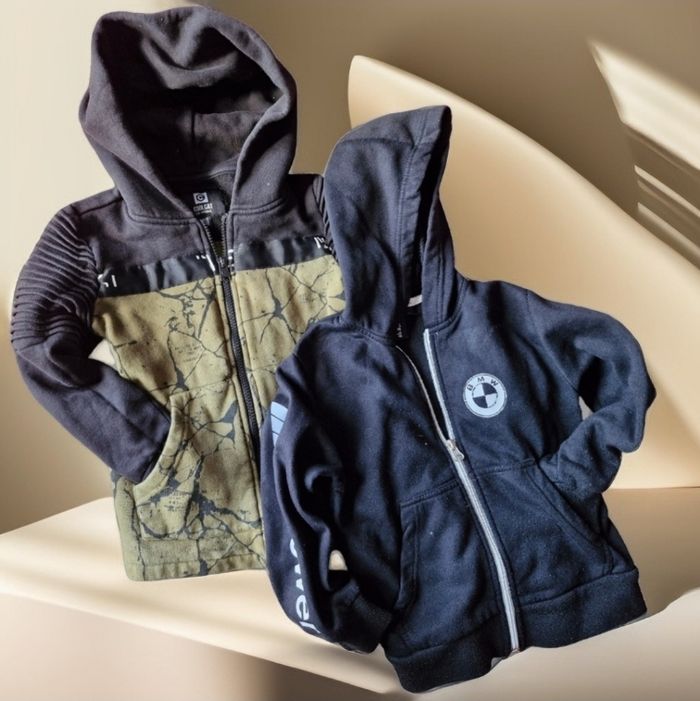 2 vestes zippées à capuche