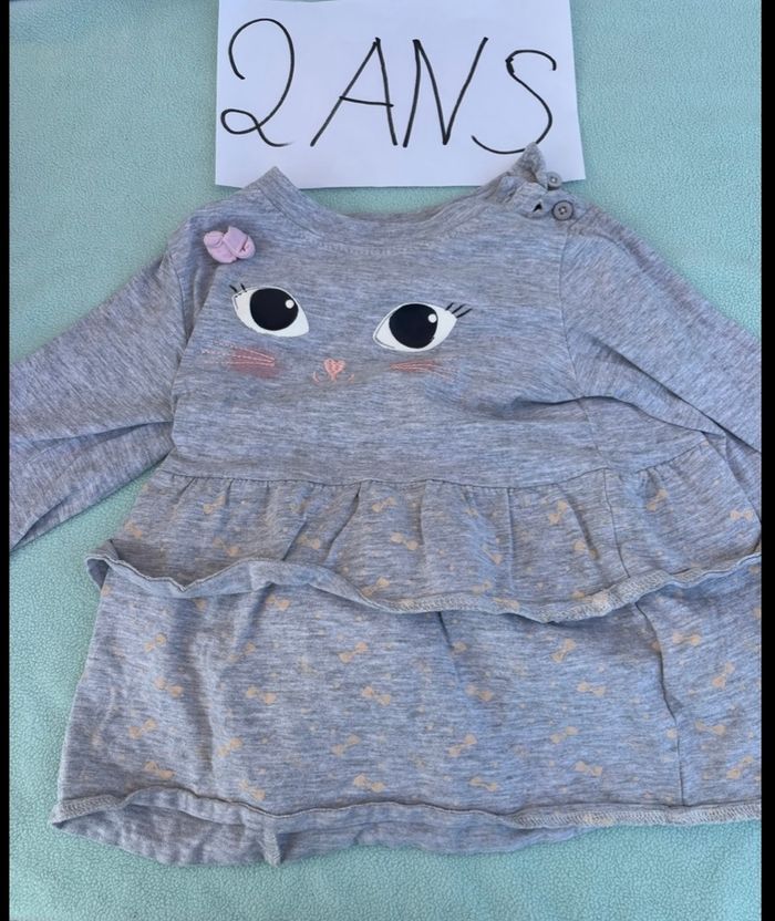 Robe grise chat 2 ans bon état