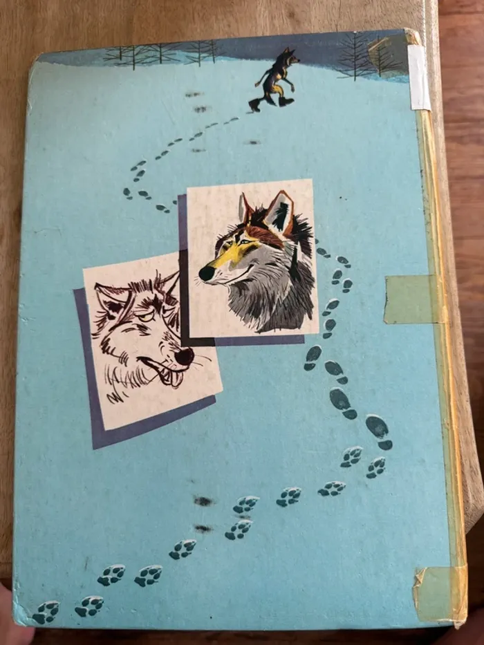 Livre Pierre Probst Caroline Fanfan ancien italien Gianni e l’ultimo lupo vintage - photo numéro 2