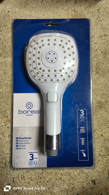Pommeau de douche