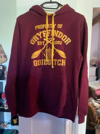Sweat capuche Harry Potter