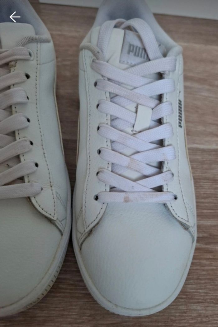 Puma blanches - photo numéro 2