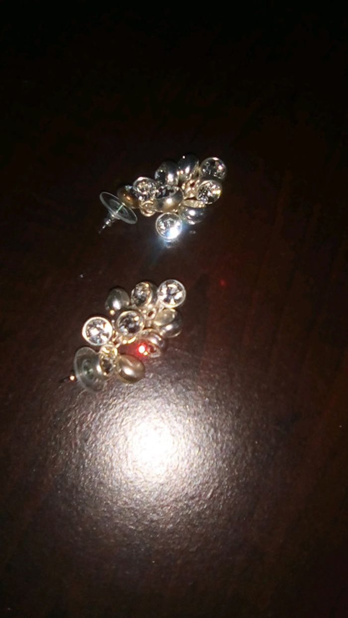 Boucles d'oreilles - photo numéro 2