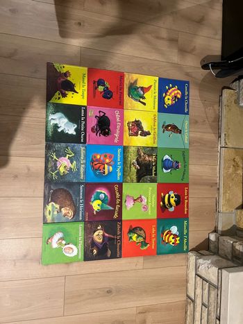 Livre Antoon krings à la pièce